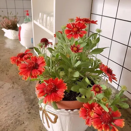 Sogna Venezia * Местре