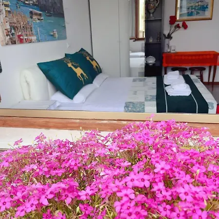 Sogna Venezia Mestre